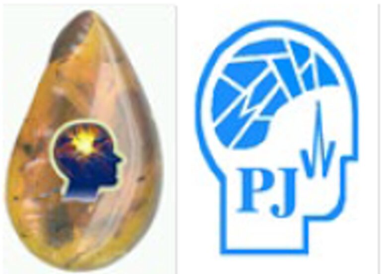 18th Baltic Sea Summer School on Epilepsy